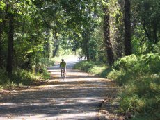 Bikeway.