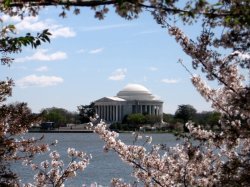 Jefferson Memorial.